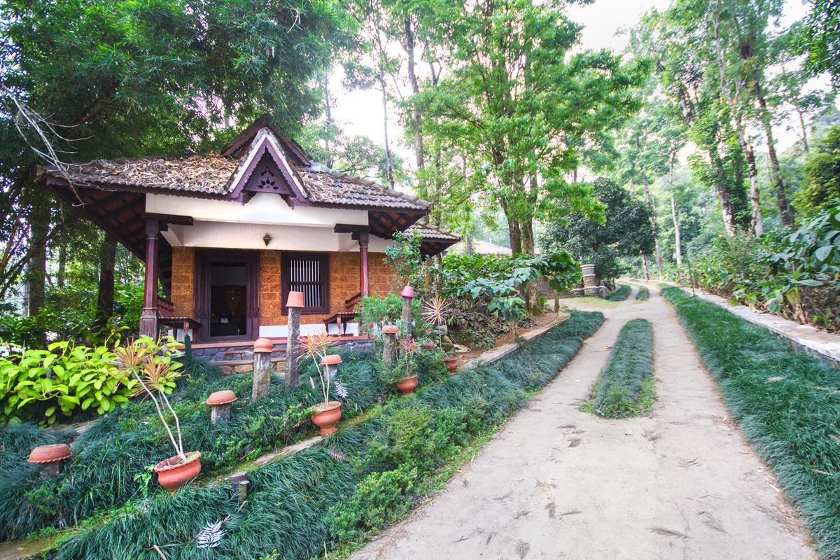 Misty Woods Resort Kakkabe Zewnętrze zdjęcie