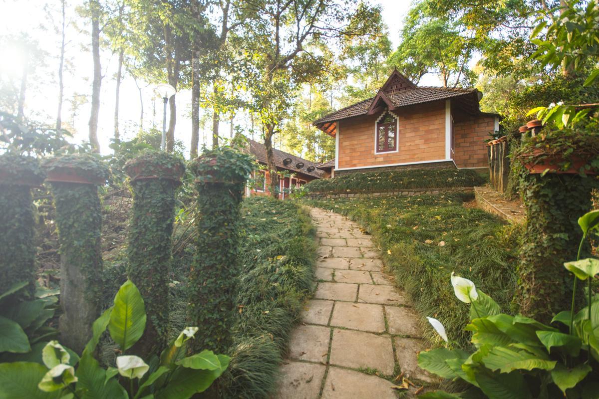 Misty Woods Resort Kakkabe Zewnętrze zdjęcie
