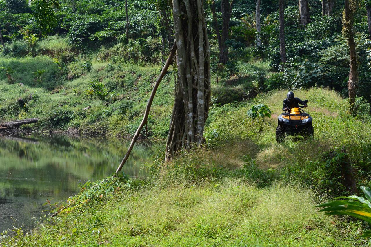Misty Woods Resort Kakkabe Zewnętrze zdjęcie